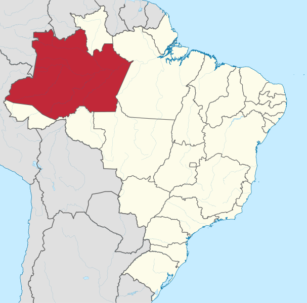 Arquivo:Amazonas in Brazil.svg.png