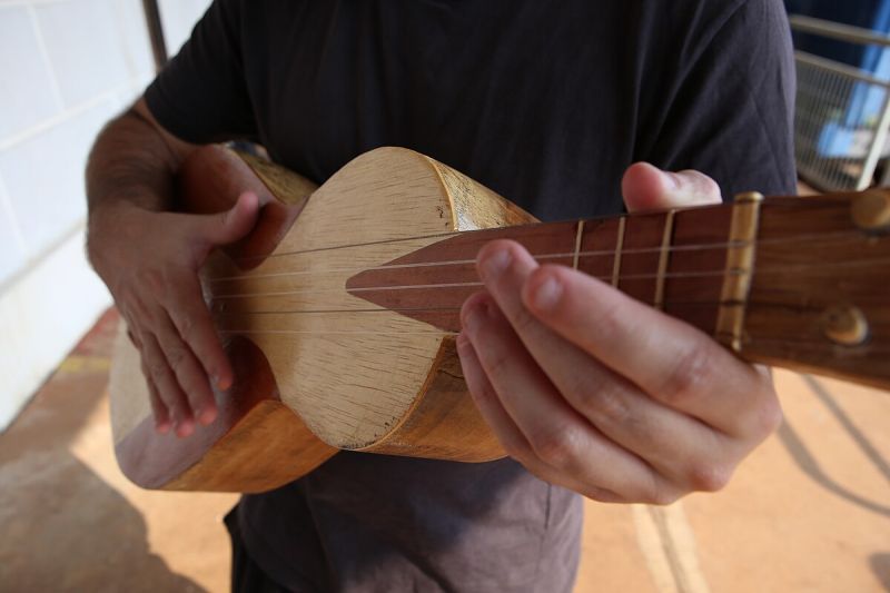 Arquivo:Viola de cocho (48861727821).jpg